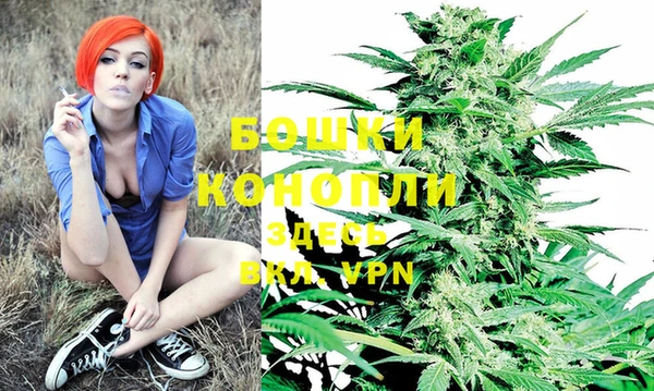 2c-b Козельск